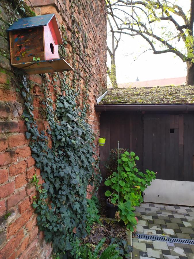 Tiny Cozy Accommodation Zágráb Kültér fotó